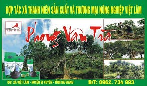 Dự án trà Phong Vân và ước mơ chấm dứt tình trạng bán trà nguyên liệu thô giá thấp (21/4/2019)